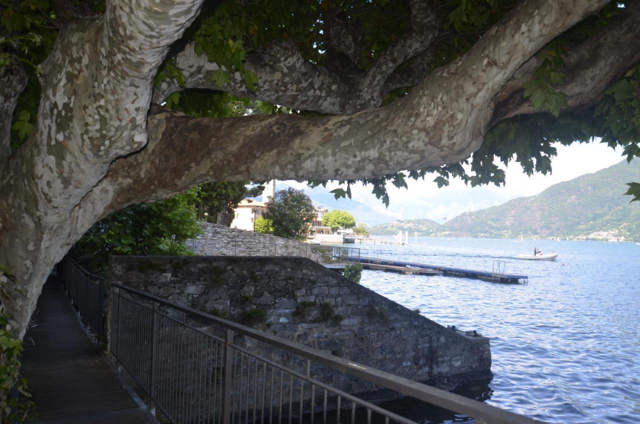 Anma Cottages The Secret Garden Pianello Del Lario エクステリア 写真
