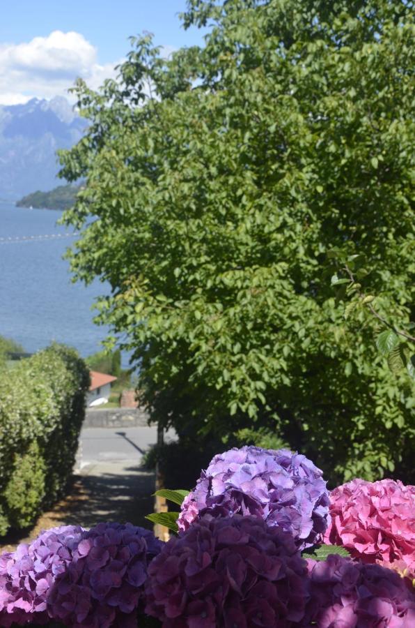 Anma Cottages The Secret Garden Pianello Del Lario エクステリア 写真