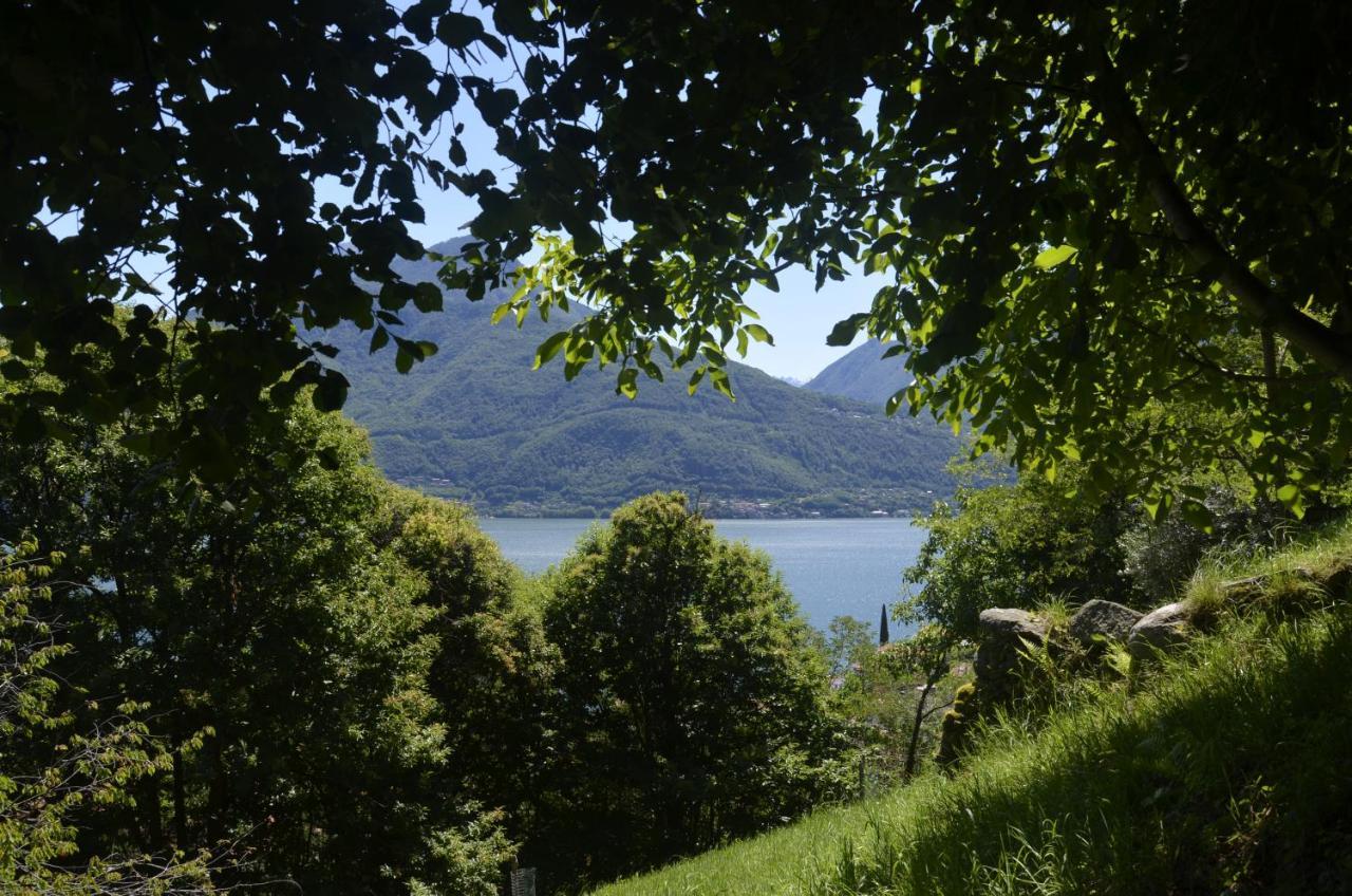 Anma Cottages The Secret Garden Pianello Del Lario エクステリア 写真